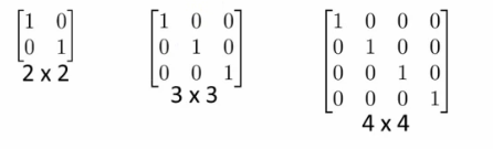 Identity matrix examples