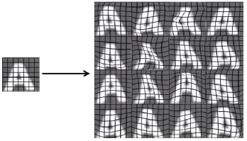 Data amplification via warping and distortion