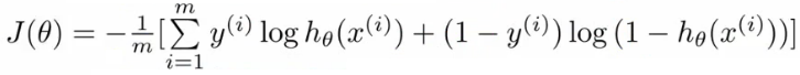 Full parameterized cost function J(theta) equation