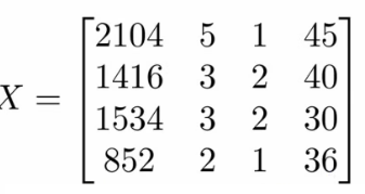 Matrix representation of features