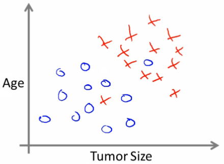 2D Classification plot with age and tumor size