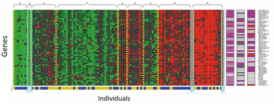 Microarray gene expression clustering
